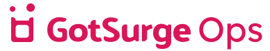GotSurge logo